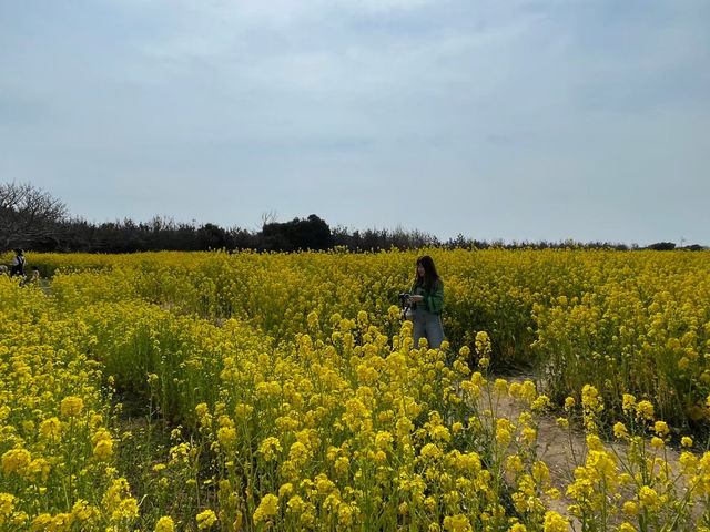 フォトスポットたくさん！伊良湖菜の花ガーデン