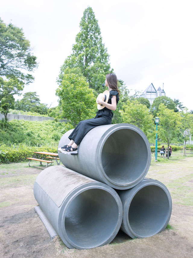 【埼玉】エモいが溢れている遊園地🎡