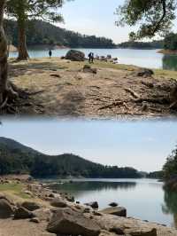 🏞️🌸🚶‍♂️ 春日漫步城門水塘 🌳🌼🌿