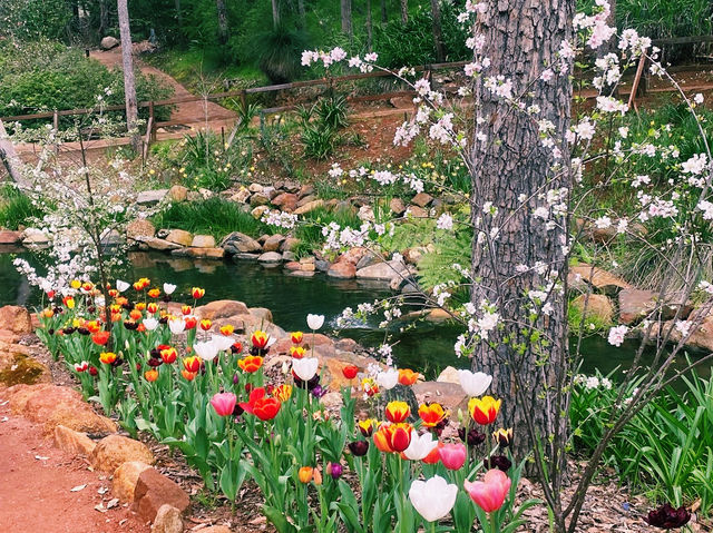 Araluen Botanic Park