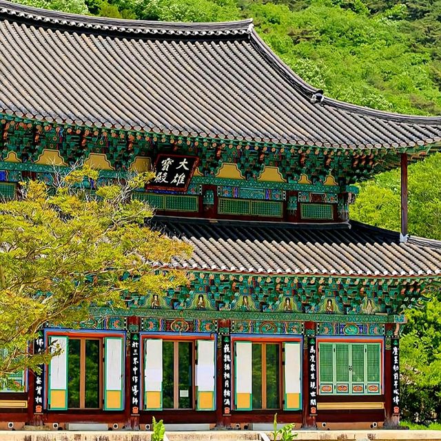 보림사는 숲입니다.