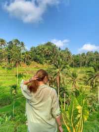 🇮🇩Rice Terraces in Bali-A Symphony of Nature💜