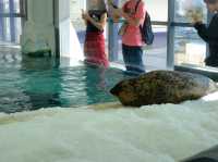 【大阪海遊館】🌊聚集南北半球海洋生物🌊，非常推薦的親子活動‼️