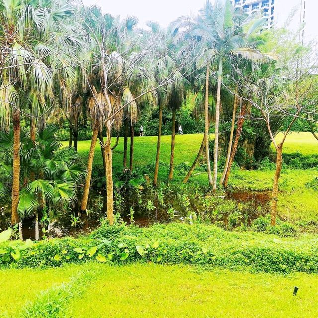 環西麗湖綠道 環西麗湖綠道