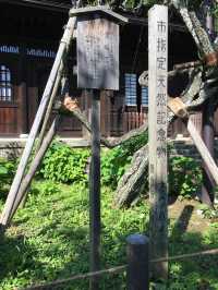 鎌倉瑞泉寺：靜謐與自然的融合