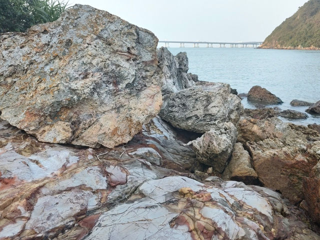 「春天好去處2024」:茜草灣-紅粉海岸,適合春天遊玩 「春天好去處2024」:茜草灣-紅粉海岸,適合春天遊玩