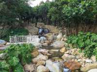 【2024春】迪欣湖：最靚舒服公園，交通方便