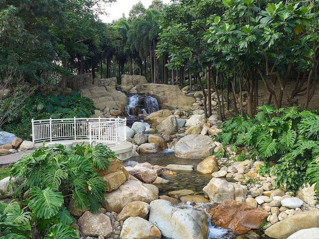 【2024春】迪欣湖：最靚舒服公園，交通方便