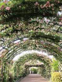 橫濱市中的秘密花園YOKOHAMA ENGLISH GARDEN