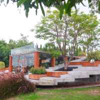 The Pomelo Cafe
