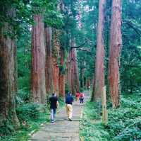 【出羽三山】羽黒山を巡りよみがえりを祈るリトリートの旅へ⛰