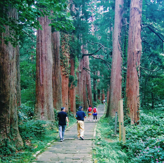 【出羽三山】羽黒山を巡りよみがえりを祈るリトリートの旅へ⛰