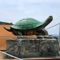 Titi kong visit