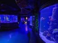 雅加達大型Mall內水族館