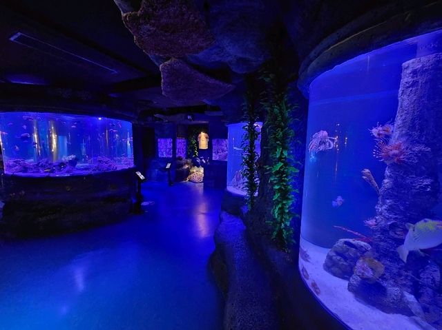 雅加達大型Mall內水族館