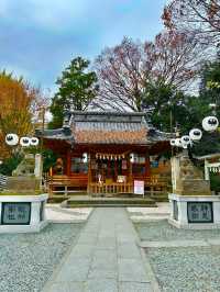 〜埼玉県〜最強恋愛パワスポ！熊野川越神社⛩️