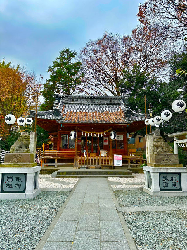 〜埼玉県〜最強恋愛パワスポ！熊野川越神社⛩️