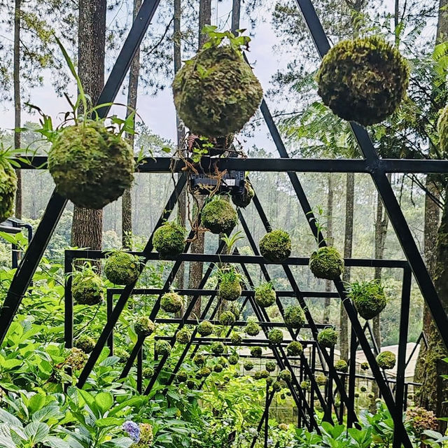 A Blooming Paradise in Bandung