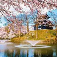 เที่ยวเกาะซาโดะนั่งเรือไม้อ่างน้ำ