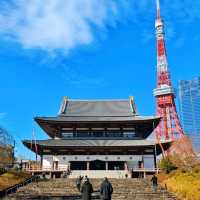 增上寺-600年歷史古寺與東京鐵塔相互輝映
