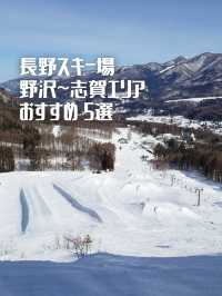 【長野】スキー場「野沢～志賀高原エリア」おすすめ 5選