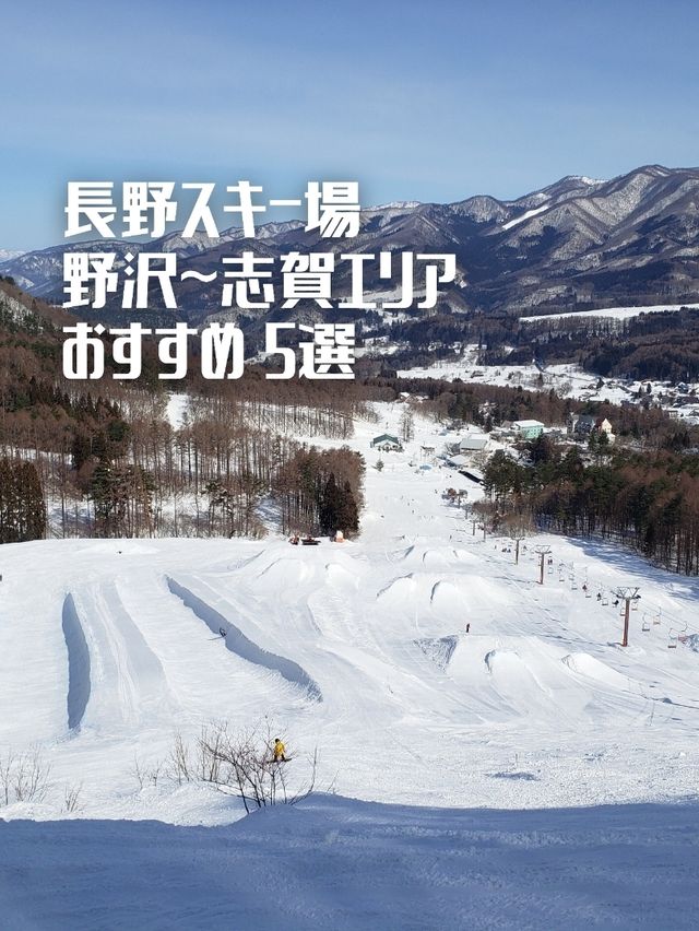【長野】スキー場「野沢～志賀高原エリア」おすすめ 5選