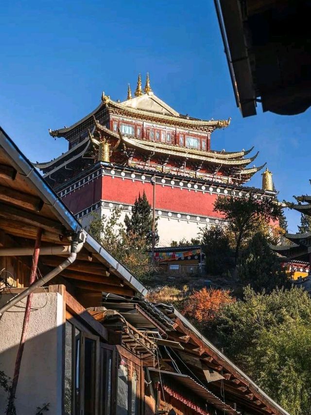 Explore Dukezong Ancient Town 🏘️✨