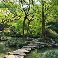Nature's Oasis: Discovering Hangzhou Botanical Garden