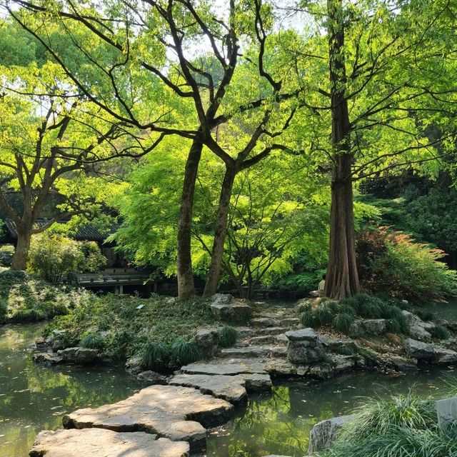 Nature's Oasis: Discovering Hangzhou Botanical Garden