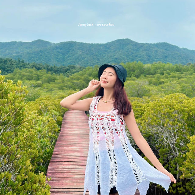 ที่เที่ยวเกาะช้างเลี้ยวซ้าย ป่าชายเลนสลักเพชร ตราด