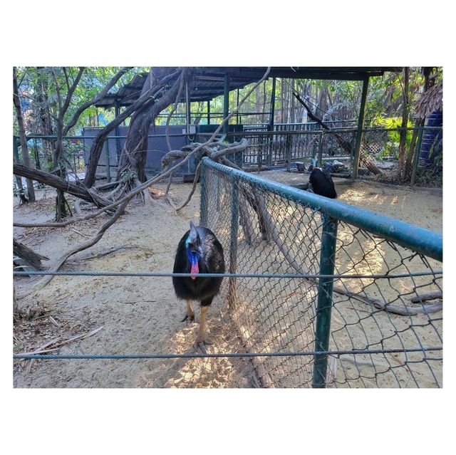 曼谷Safari World野生動物園：近距離觀察動物、海洋表演