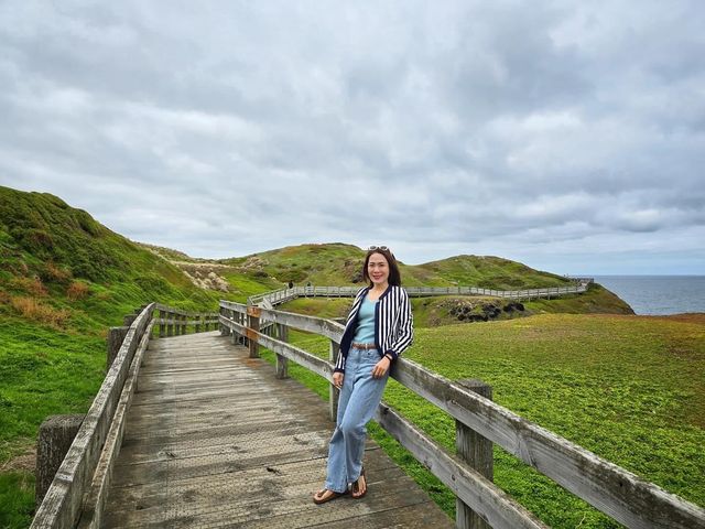 Philip Island, The Nobbies