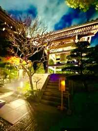 〜神奈川県〜関東の花寺、鎌倉長谷寺秋のライトアップ