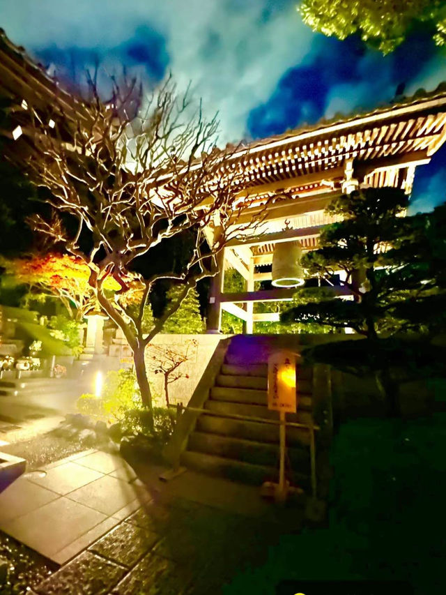 〜神奈川県〜関東の花寺、鎌倉長谷寺秋のライトアップ