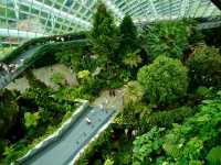 Cloud Forest / Singapore 