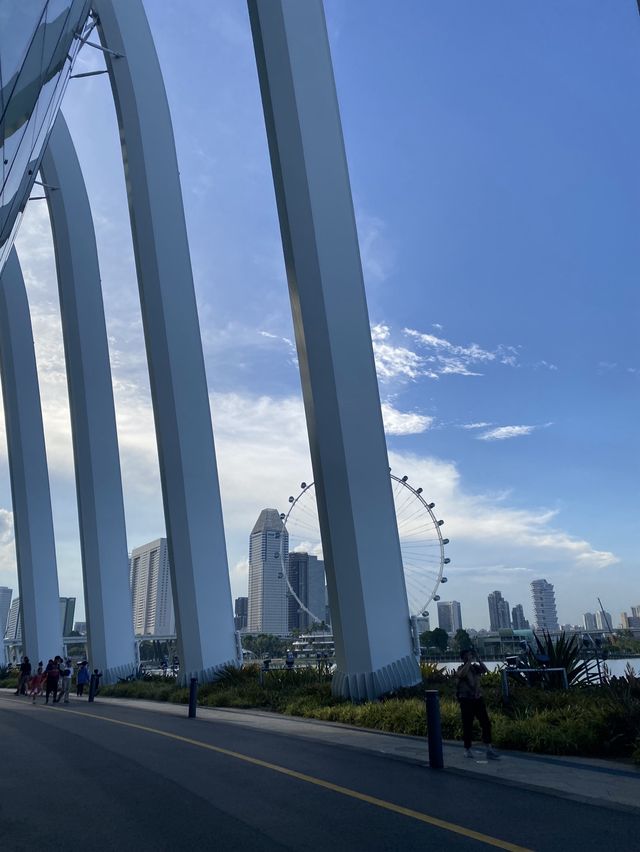 ปั่นจักรยานที่ Singapore 🇸🇬🚲
