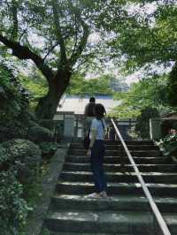 涼を感じるスポット✨美しい竹林の報国寺🥺🤍【鎌倉】