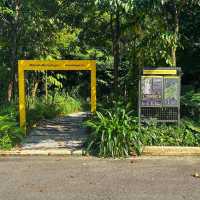🇲🇾 Explore Urban Greenery: Discover Taman Tugu's Natural Oasis