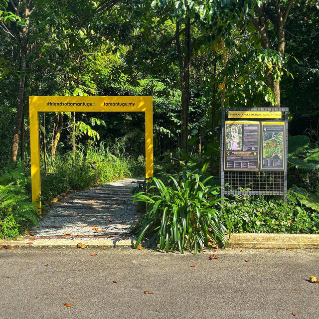 🇲🇾 Explore Urban Greenery: Discover Taman Tugu's Natural Oasis