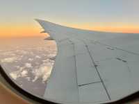 【JL】成田→サンフランシスコ エコノミークラス✈️