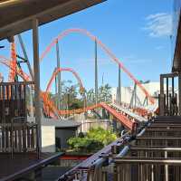 Dreamworld