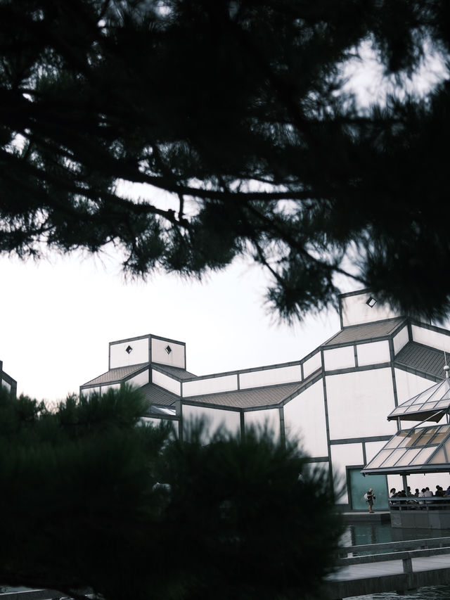 蘇州博物館·建築美學天花板