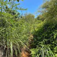 【香港】大陰頂至花瓶石：優惠時段，註意補充水份