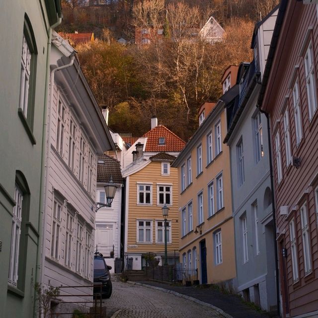 挪威峽灣城市Bergen