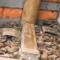 ซุ้มประตูจีน วัดช่องลม - Unseen แห่งราชบุรี