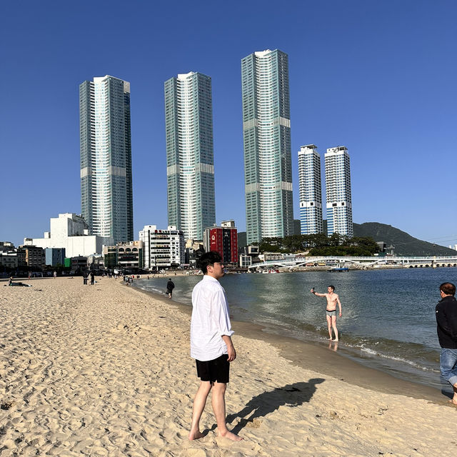 푸른 바다와 갈매기가 반겨주는 부산 송도🐦