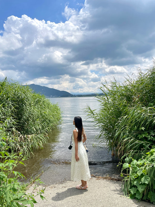 東京 | 必去富士山周邊景點首選 - 大石公園🌼
