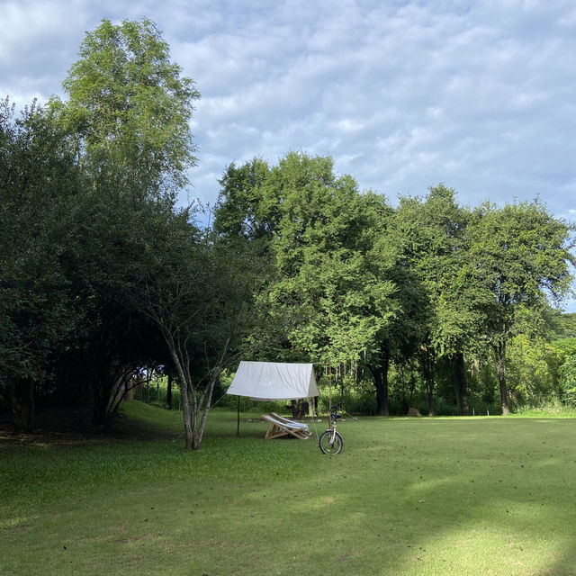 The harmony resort 