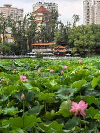 My summer holiday, First time in Kunming 