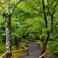 【大阪景點】西之丸庭園：雨中迷人景色～享受日本庭院風情